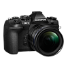 Specification of Canon PowerShot G3 X rival: Olympus OM-D E-M1 Mark II.
