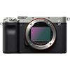 Specification of Panasonic Lumix DC-S5 rival: Sony a7C.