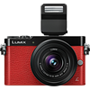 Specification of Canon PowerShot SX530 HS rival: Panasonic Lumix DMC-GM5.