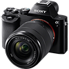 Specification of Sony Alpha 7 II rival: Sony Alpha 7.