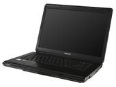 Toshiba Satellite L305-S5955 rating and reviews