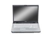 Specification of Toshiba Satellite P105-S9312 rival: Toshiba Satellite P205-S7806.