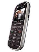 Specification of LG KP108 rival: Motorola WX288.