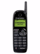 Specification of Philips Xenium rival: Motorola M3288.