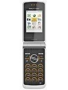 Specification of Nokia 2323 classic rival: Sony-Ericsson TM506.
