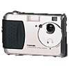 Specification of Fujifilm DS-300 rival: Toshiba PDR-M1.