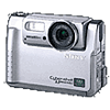 Specification of Nikon D1 rival: Sony Cyber-shot DSC-F55V.