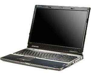 Specification of Toshiba Qosmio G45-AV690 rival: Gateway P-171X.