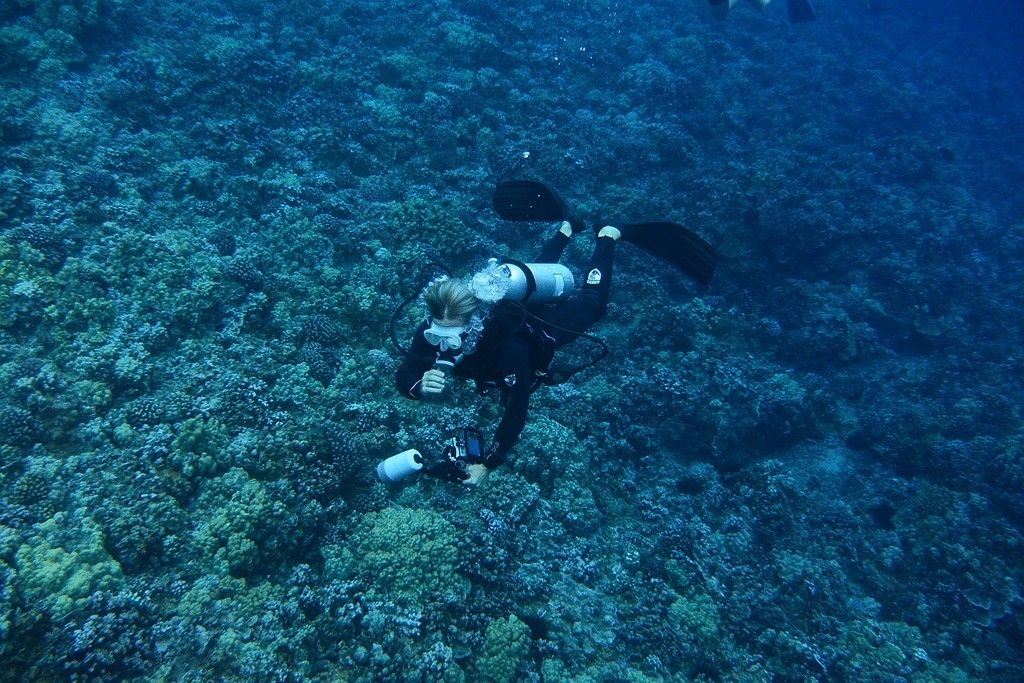 Nikon 1 AW1 specs and prices. Nikon 1 AW1 comparison with rivals.