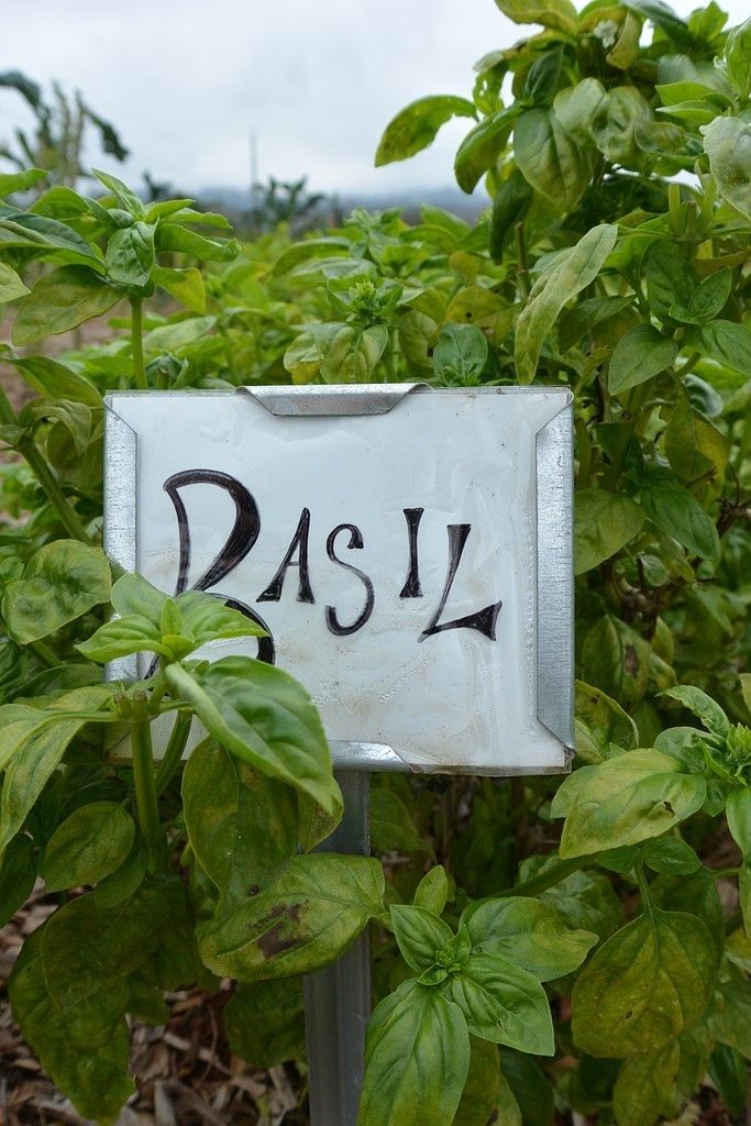 Nikon 1 J3 specs and prices. Nikon 1 J3 comparison with rivals.