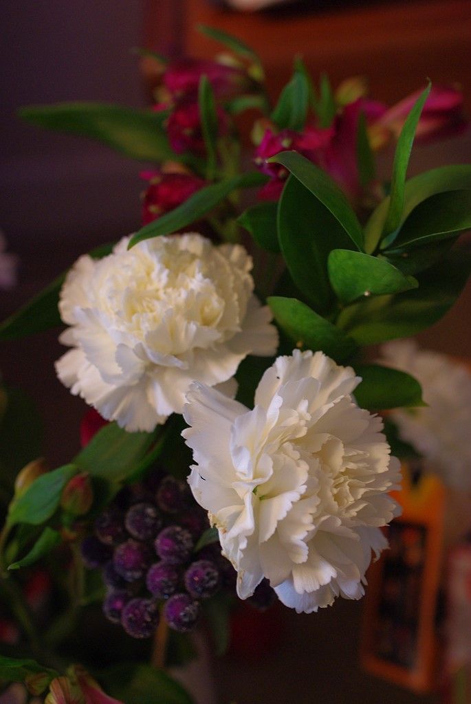 Pentax Km (K2000) specs and prices. Pentax Km (K2000) comparison with